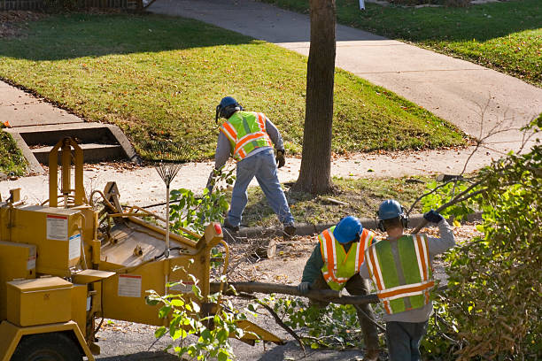 Best Landscape Design and Installation  in South Miami, FL